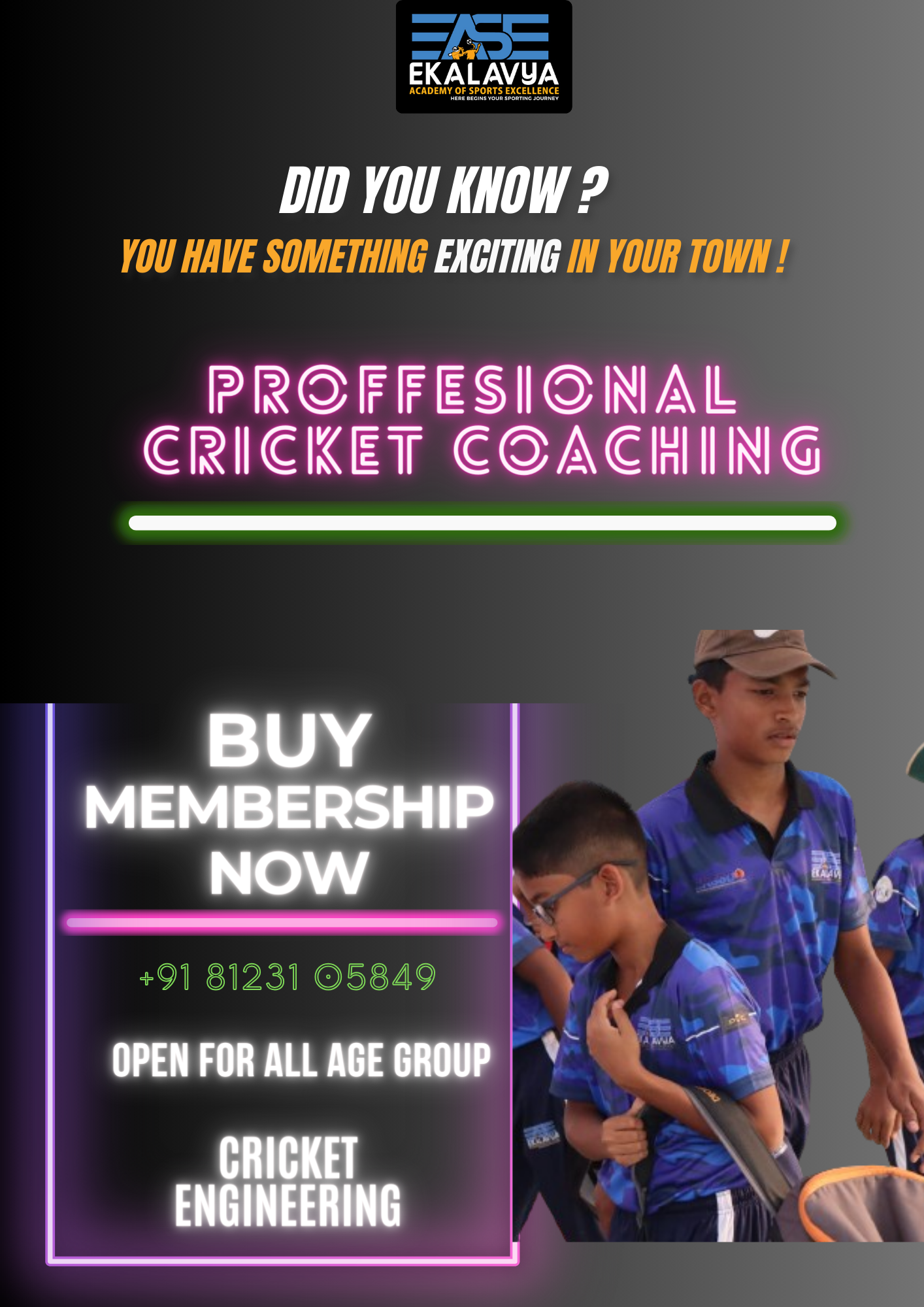 cricket coaching